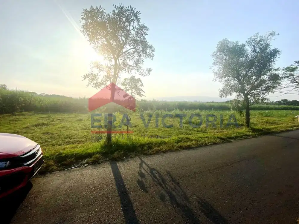 Tanah Sukowidodo, Karangrejo, Kabupaten Tulungagung Layak Untuk Dibangun Komplem Ruko