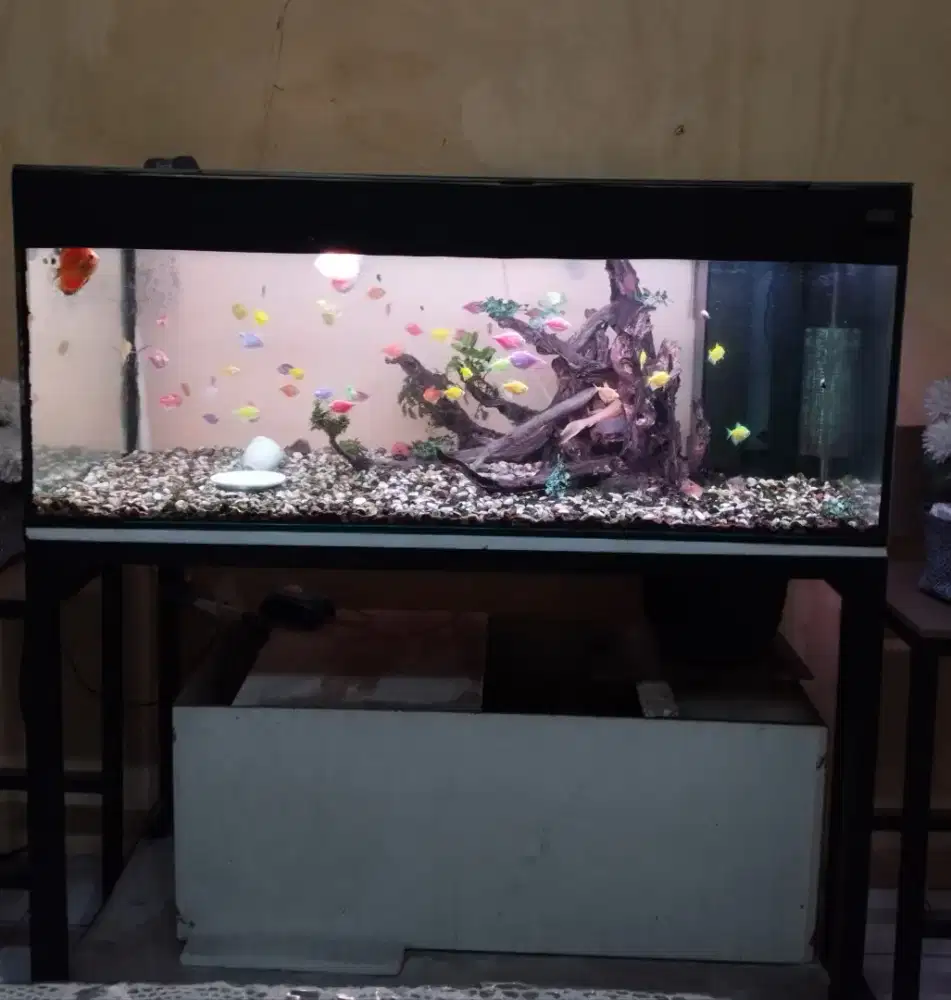 Dijual 1set aquarium murah aja