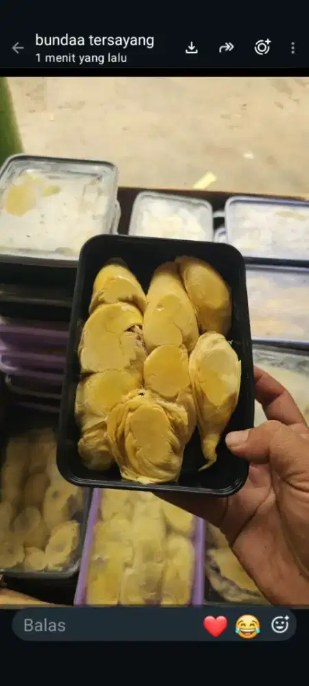 DURIAN SIDIKALANG SUMATRA