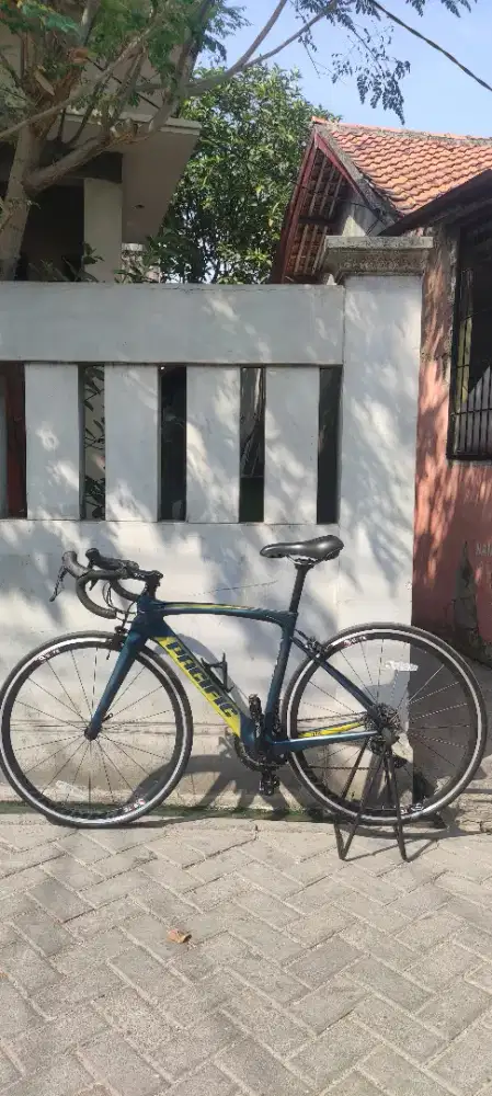 Sepeda roadbike pacific primum 5.3