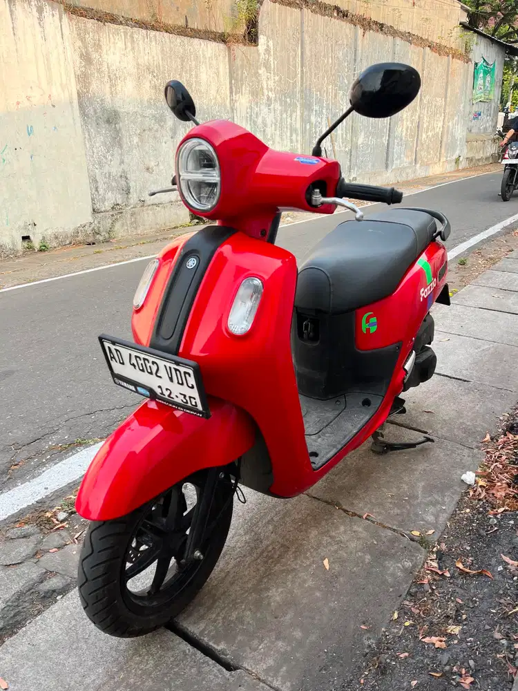Fazzio istimewa