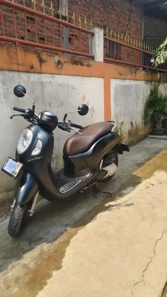 Motor scoopy 2024.