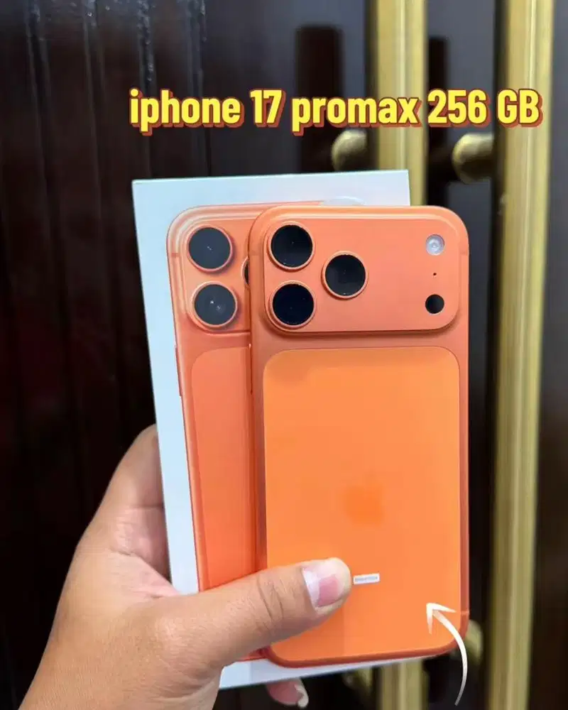 ip 17 promax 256 ibox