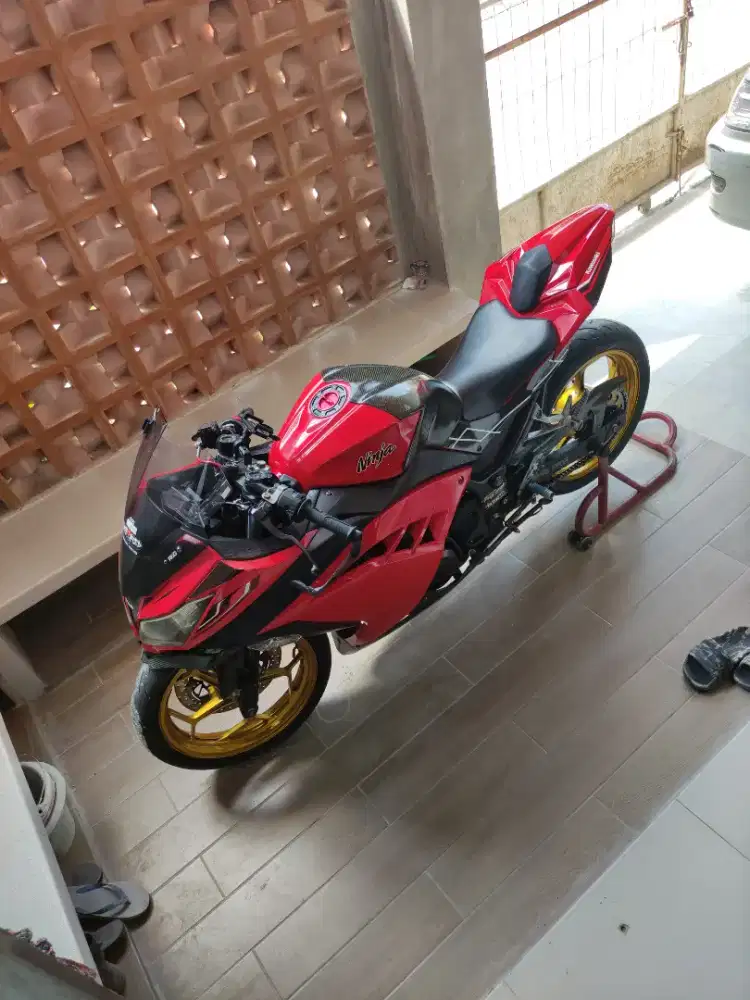 Ninja 250 fi old