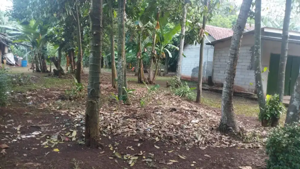 Di jual tanah luas 200 m