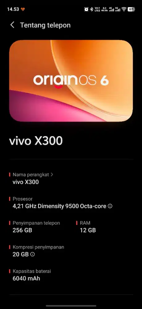 Vivo x300 black 12/256