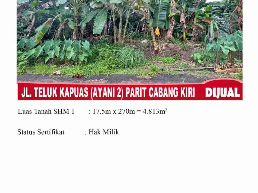 Tanah Investasi, cocok untuk bangun perumahan