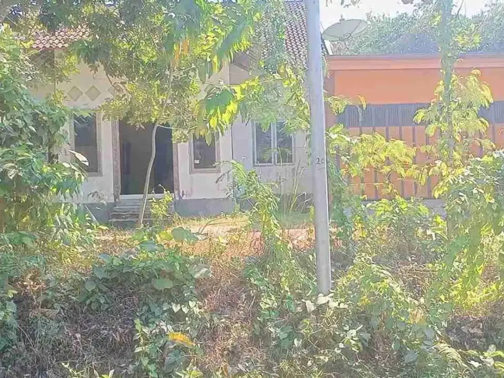 BU JUAL CEPAT RUMAH DAN KOLAM KOI DI BLITAR