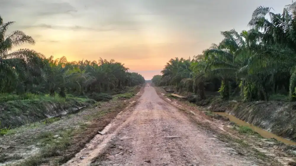 Lowongan kerjaan tanpa ijazah