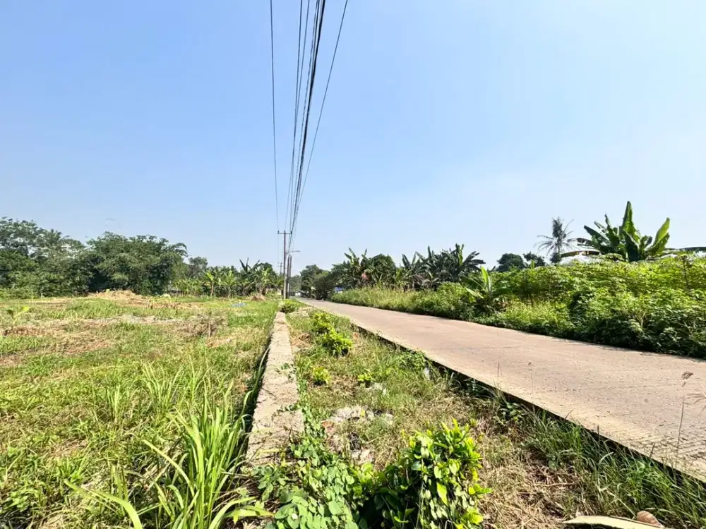 Tanah Cisauk Murah - SHM Pinggir Jalan Cocok Invest/Hunian - Dekat Stasiun Jatake