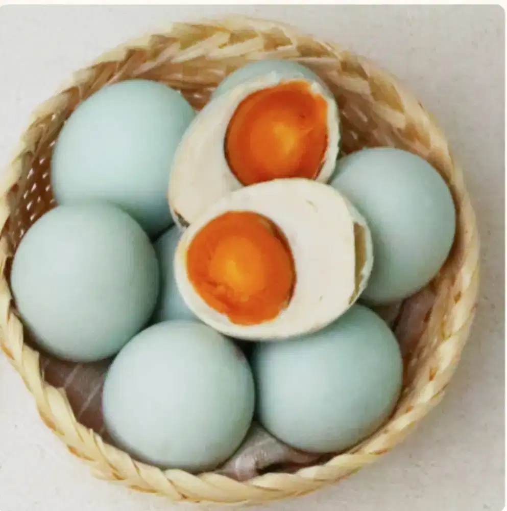 TELUR ASIN OMEGA MASIR SALATIGA