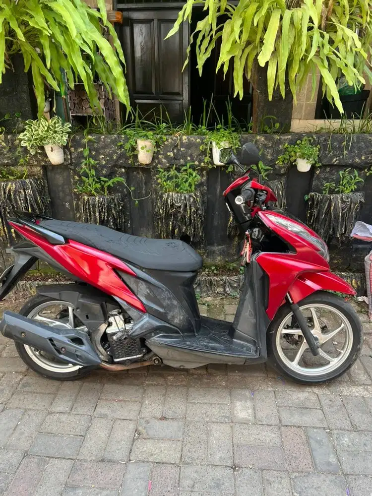 Vario KZR 2013 nego