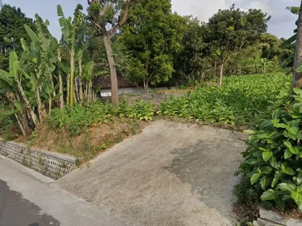 Tanah luas SHM Sidomulyo berada di kawasan kaki Lawu di tepi jalan aspal
