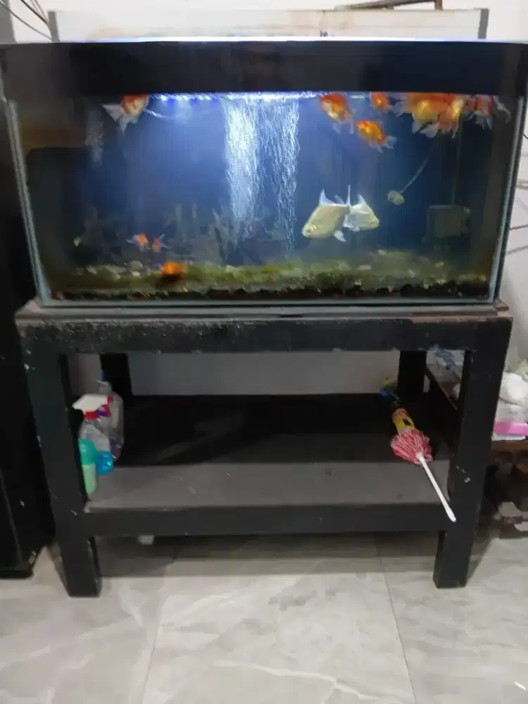 Aquarium 1 meter full set