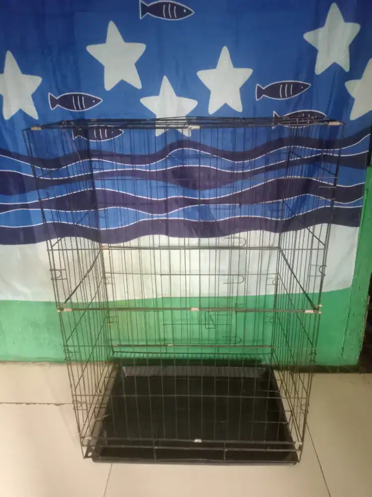 Kandang kucing bekas