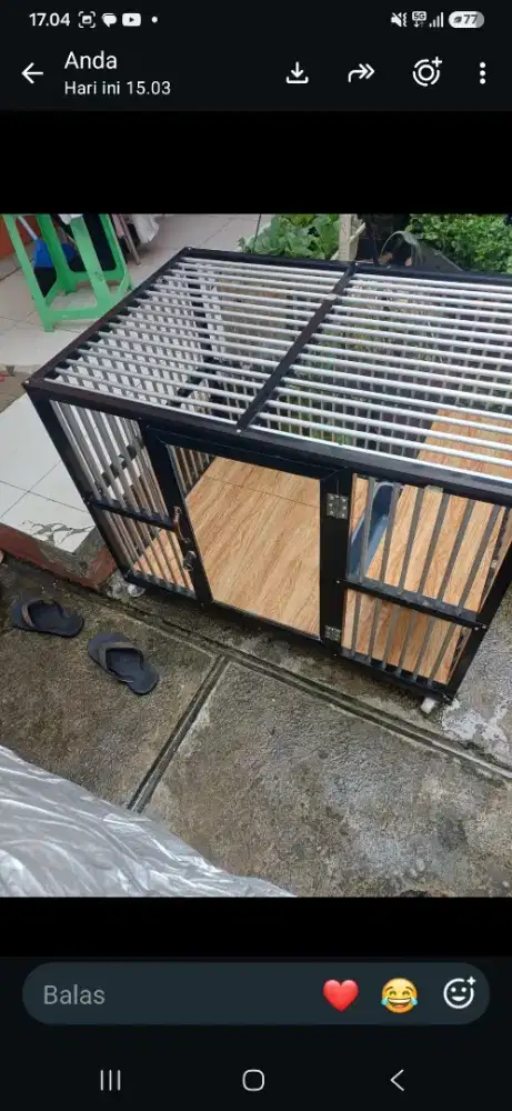 Jual kandang kucing
