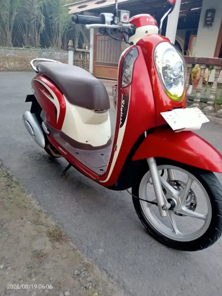 Honda scoopy 2013