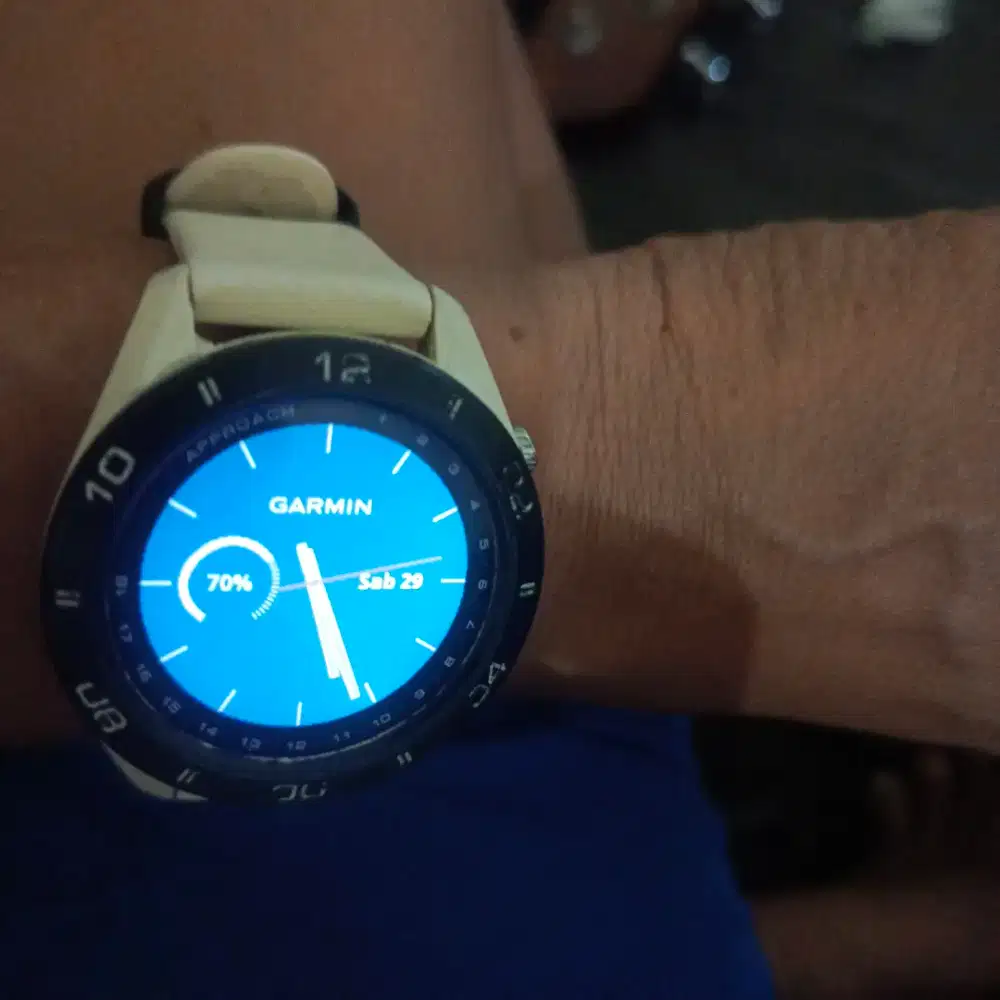 Garmin S60 golf