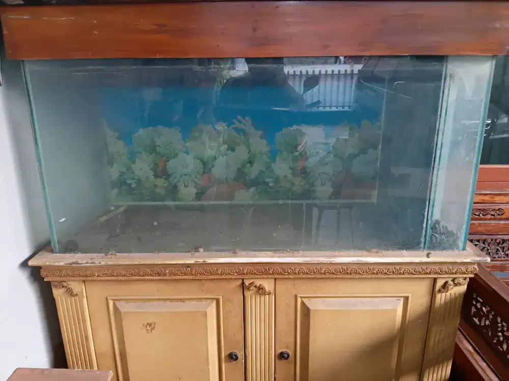 Dijual Aquarium ukuran P=130cm L=50cm T=65cm