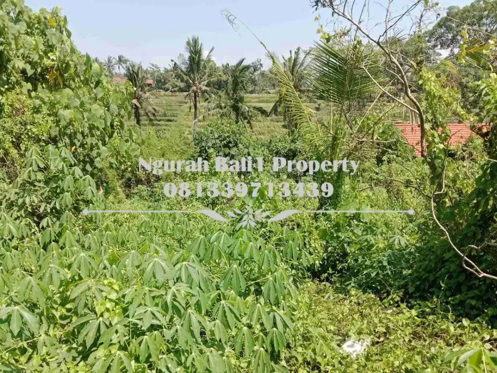 Tanah Dijual Murah Luas 8 Are View Sawah Kawasan Villa di Mas Ubud