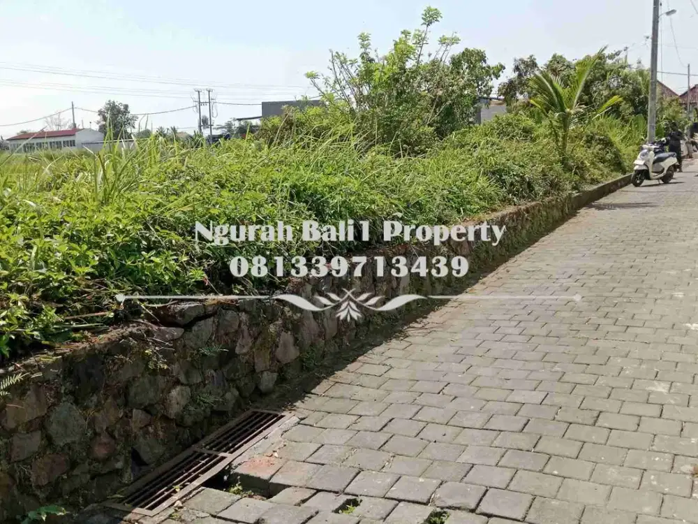 Dijual Tanah Murah Luas 3 Are View Sawah Kawasan Villa di Mas Ubud