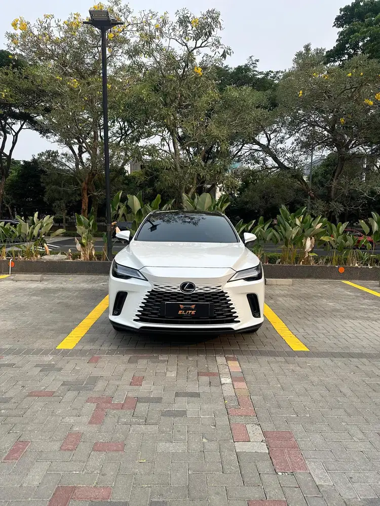 Lexus RX350H Luxury 2024 Bergaransi