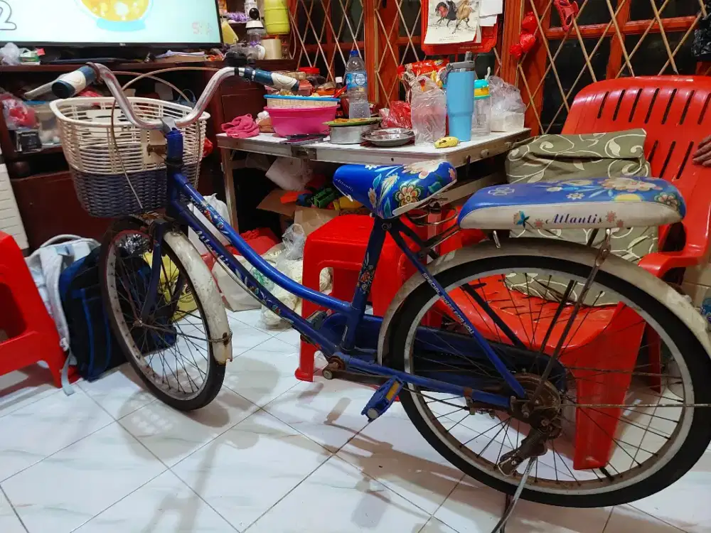 Sepeda Dewasa Wanita Pria Remaja Anak Anak