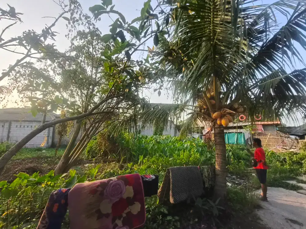Dijual Tanah 300 m² Strategis – Cocok u/ Usaha | 265 Juta Nego