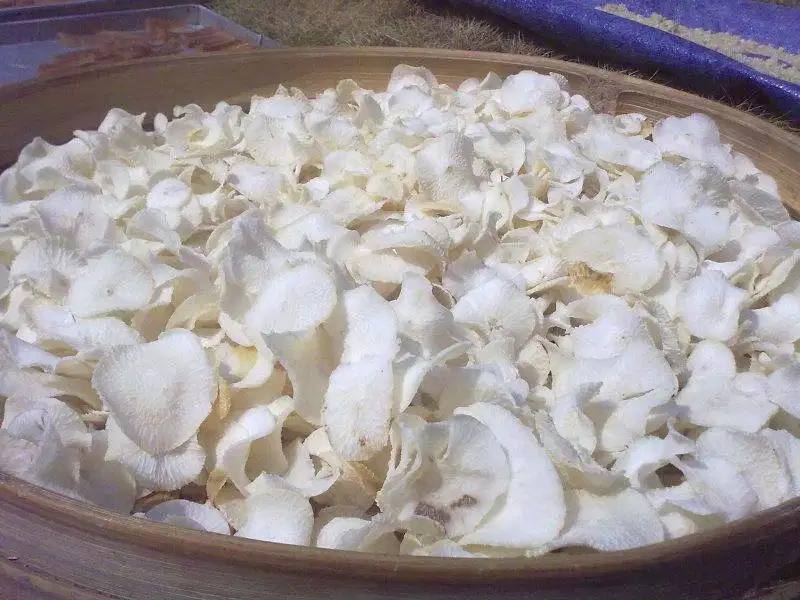 kripik singkong gadung mateng