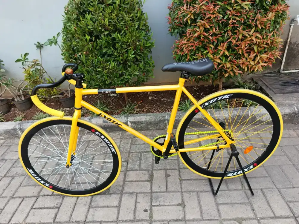 Sepeda Fixie Exotic