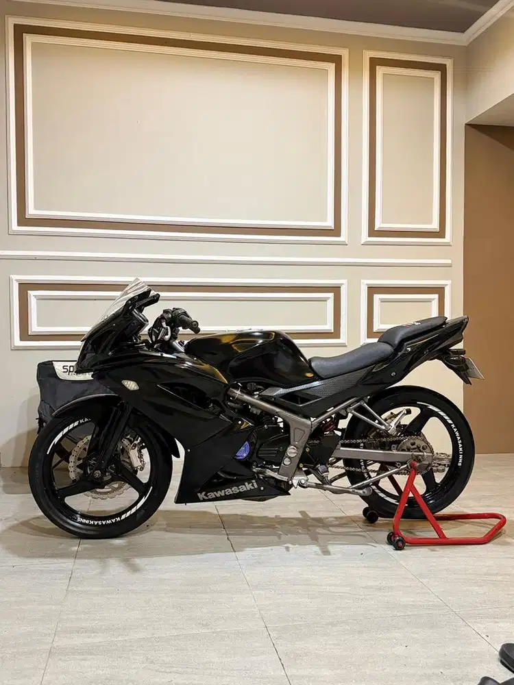 Kawasaki ninja RR NEW