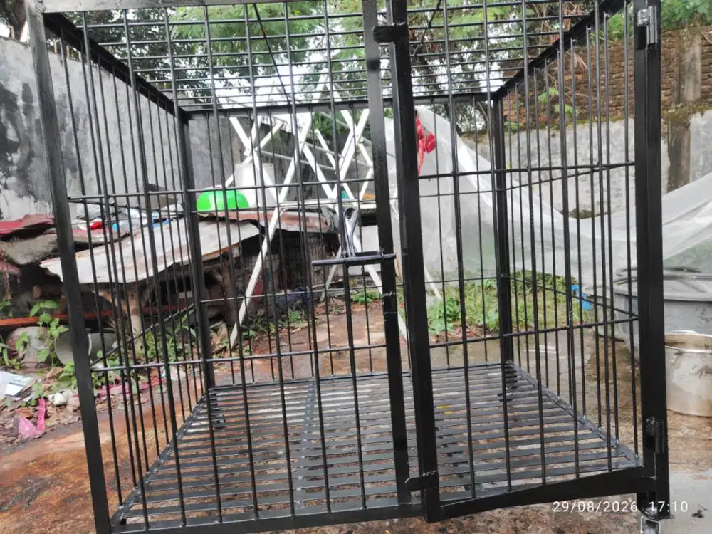 Kandang Anjing baru ras besar