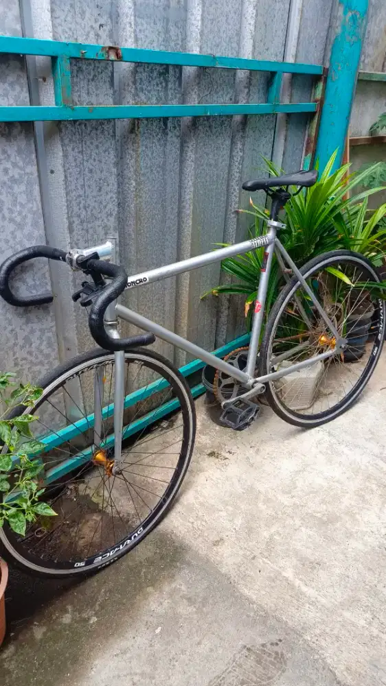sepeda fixie/fixed gear bike