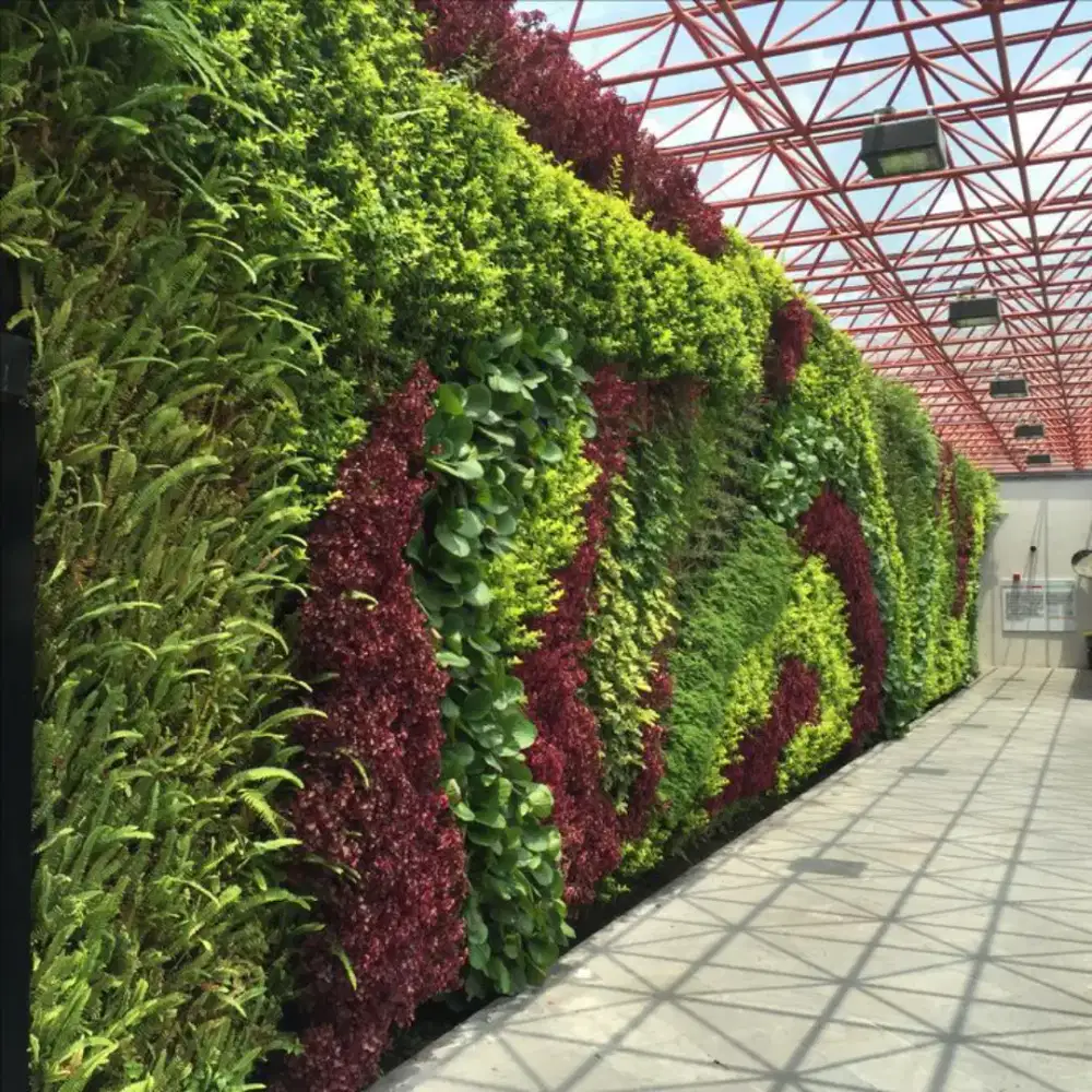 pembuatan taman vertikal garden