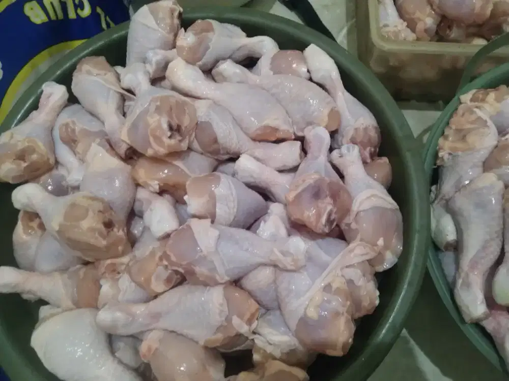 Jual ayam potong bagian paha Upin ipin