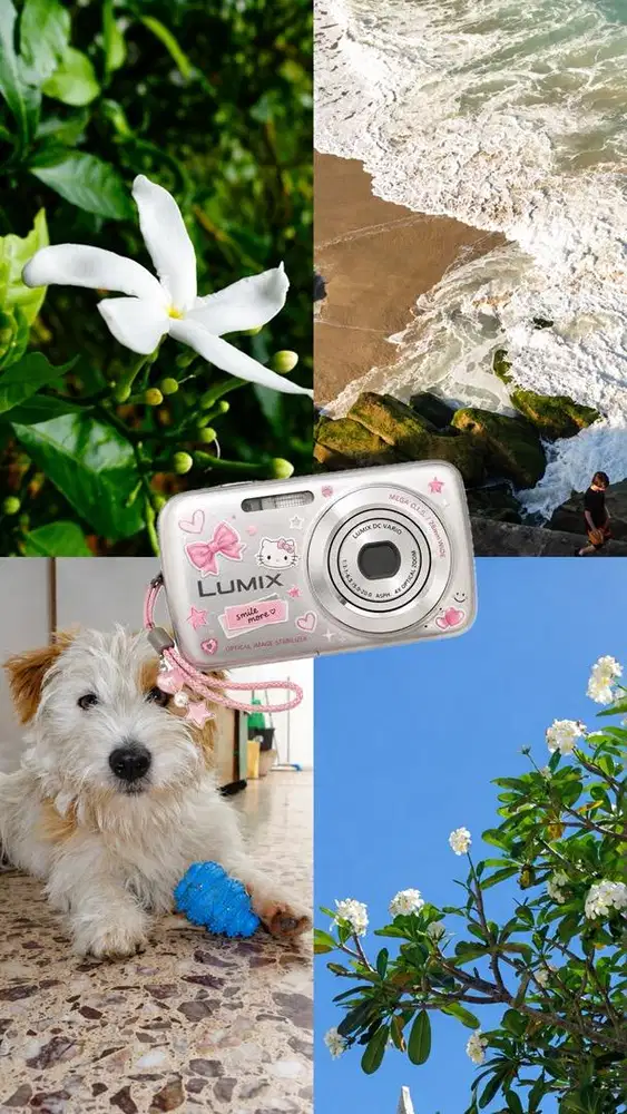 DIGICAM LUMIX DMC S1 12.1MP