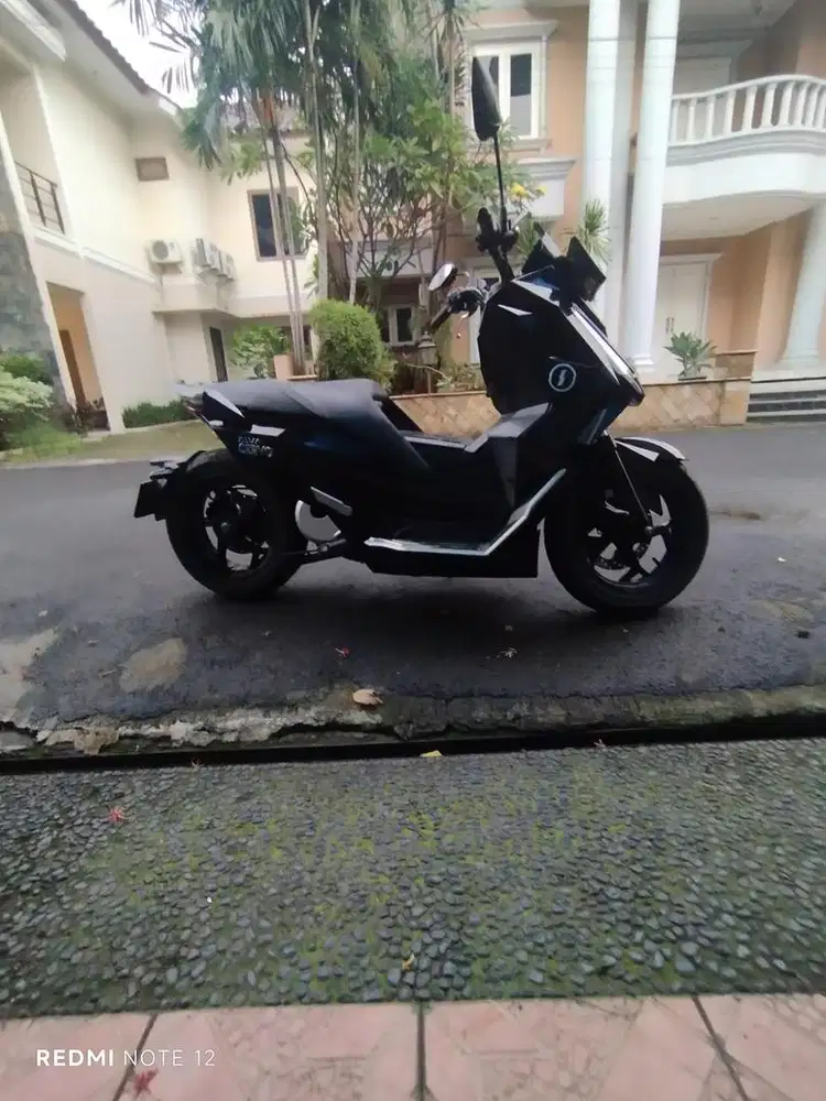 Alva Cervo 2023
