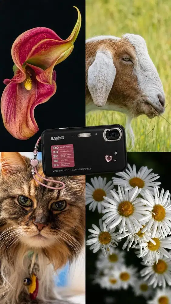 DIGICAM SANYO VPC TP1010 TOUCH SCREEN