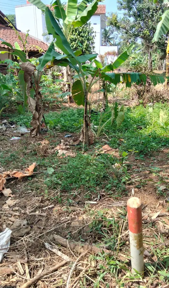 Dijual Tanah Dekat Kampus 2 Unsil Mugarsari