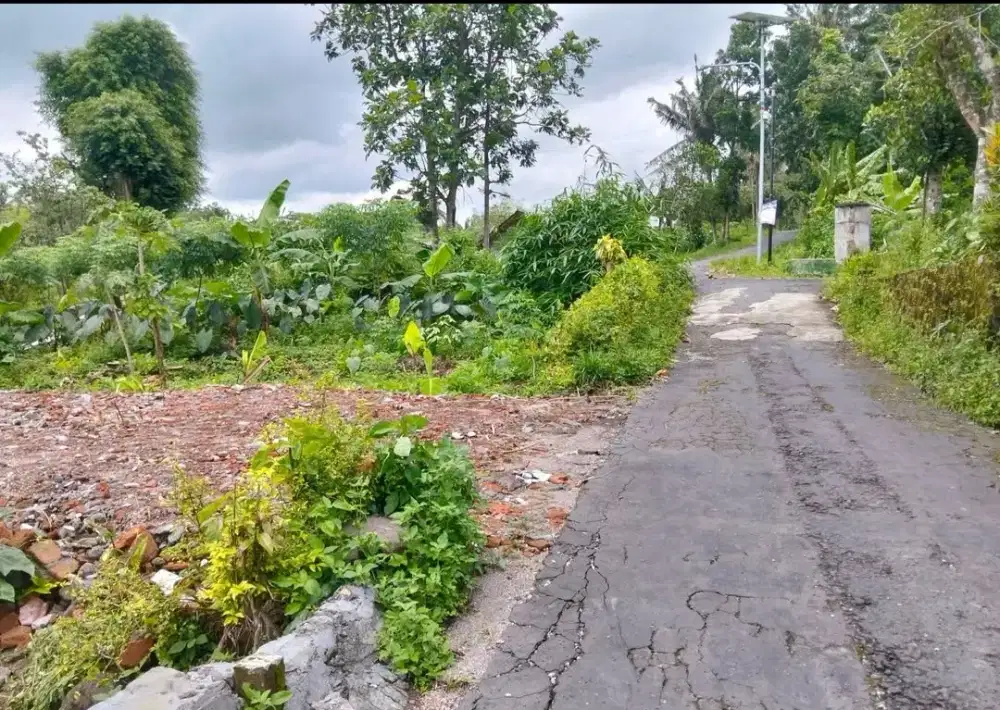 Jual tnah luas 131m2 dibarat pasar pakem jl kaliurang km 16