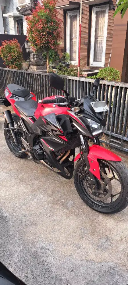 Kawasaki z250 Naked Bike