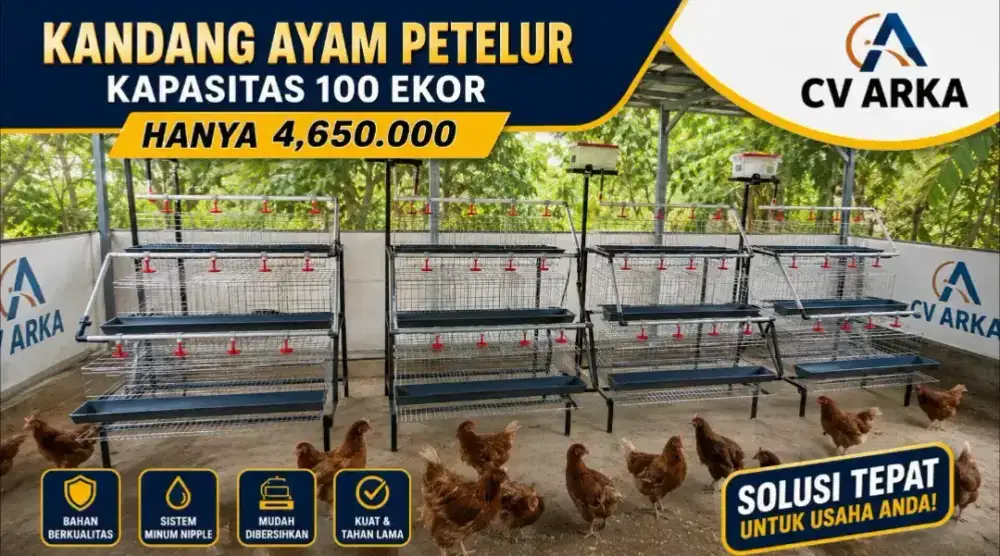 Kandang ayam petelur kapasitas 100 ekor