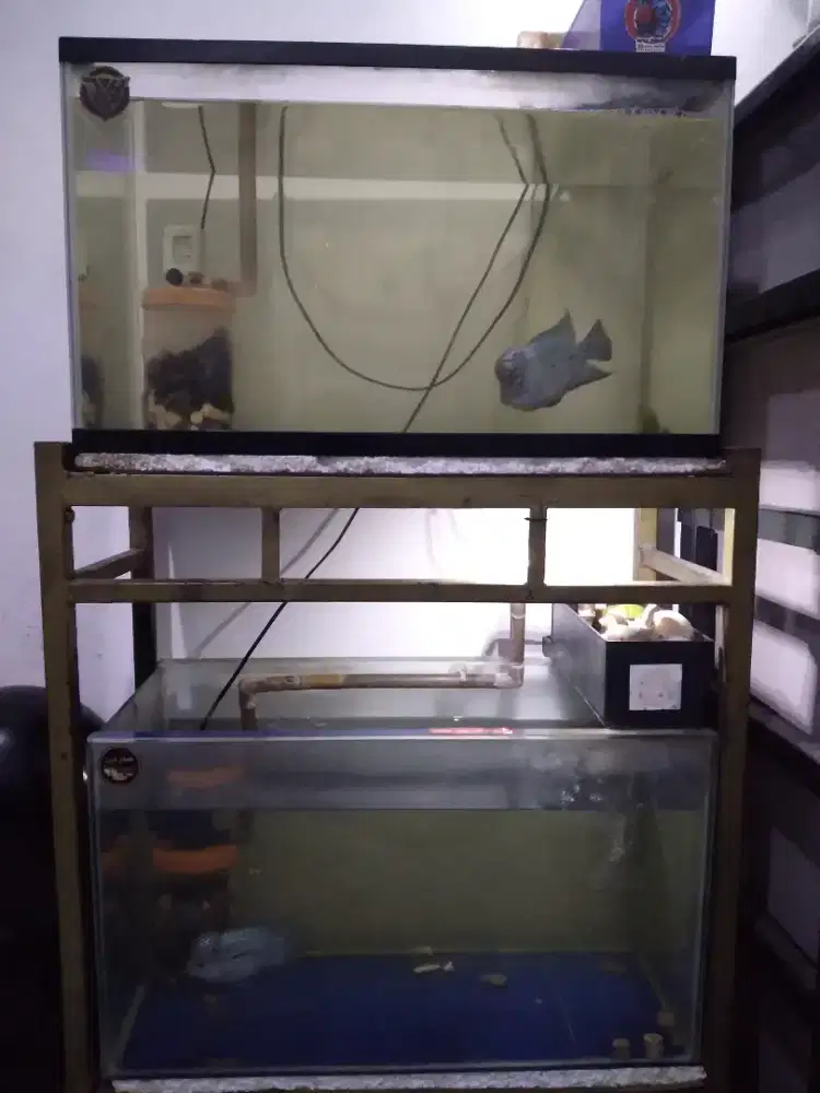 fulset, ikan, rak besi, aquarium, pompa air, filter