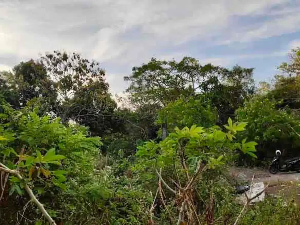Tanah Kavling Ekslusive dalam Kompleks Villa di Goa Gong Ungasan