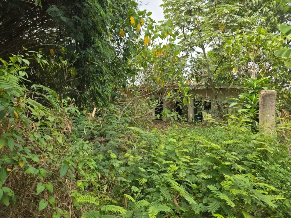 TANAH DIJUAL CEPAT HARGA NAIK TERUS!!