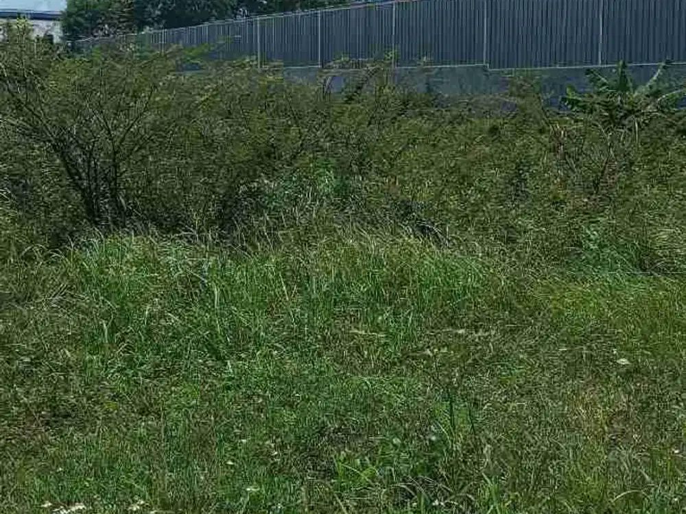 dijual tanah ciracas Jakarta Timur