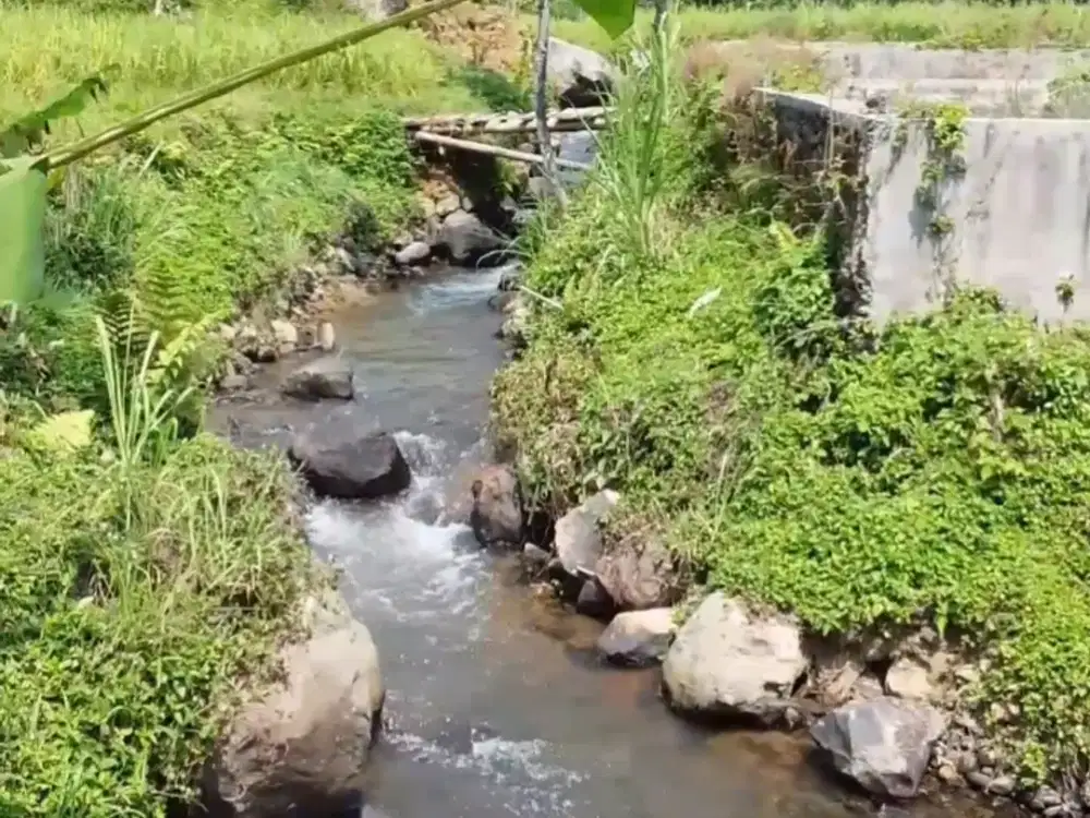 DIJUAL TANAH NEMPEL SUNGAI,AREA WISATA CIASMARA PAMIJAHAN BOGOR