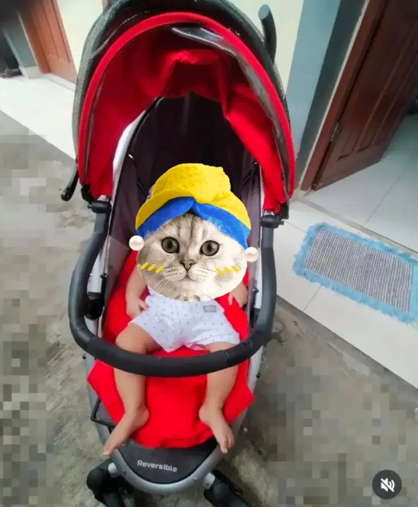 Stroller murah banyak bonus nya