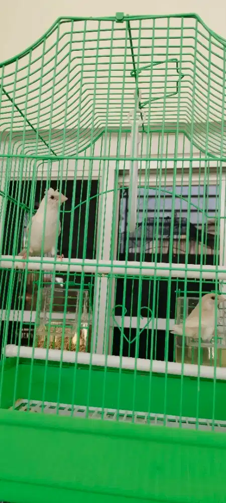 Emje sepasang remajaa