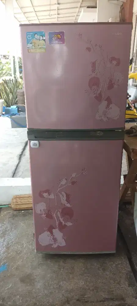 Kulkas Dua Pintu